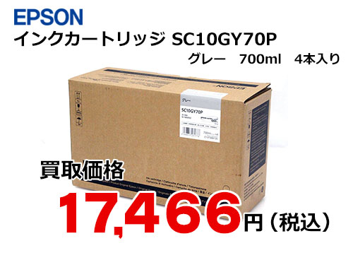 エプソン インクカートリッジ SC10GY70P